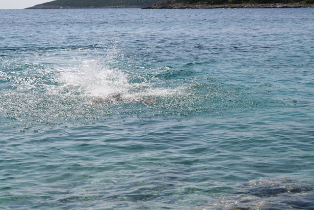 gal/cro 08/small-IMG_4946.JPG